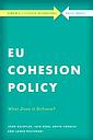 EU Cohesion Policy in Practice - What Does it Achieve?