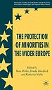 The Protection of Minorities in the Wider Europe