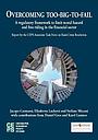 Overcoming too-big-to-fail: A Regulatory Framework to Limit Moral Hazard and Free Riding in the Financial Sector