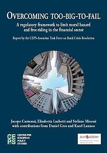 Overcoming too-big-to-fail: A Regulatory Framework to Limit Moral Hazard and Free Riding in the Financial Sector