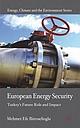 European Energy Security - Turkey's Future Role and Impact 