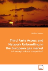 Third Party Access and Network Unbundling in the European gas market - Is it enough to foster competition?