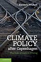 Climate Policy after Copenhagen - The Role of Carbon Pricing