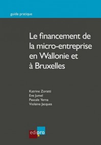 FINANCEMENT DE LA MICRO-ENTREPRISE EN WALLONIE ET A BRUXELLES 