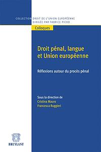 Droit pénal, langue et Union européenne 