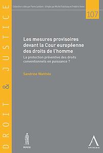 Les mesures provisoires devant la Cour européenne des droits de l'homme - La protection préventive des droits conventionnels en puissance ?