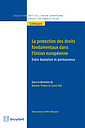 Protection des droits fondamentaux dans l'Union européenne - Entre évolution et permanence 