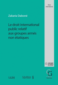 Le doit international public relatif aux groupes armés non étatiques