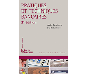 Pratiques et techniques bancaires - 2e édition
