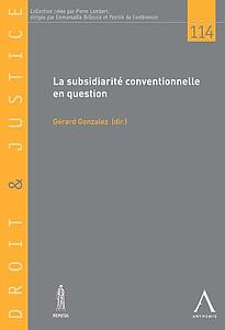  La subsidiarité conventionnelle en question - Essai de systématisation 