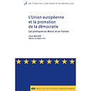 L'Union européenne et la promotion de la démocratie - Les pratiques au Maroc et en Tunisie 