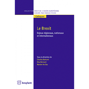 Le Brexit - Enjeux régionaux, nationaux et internationaux