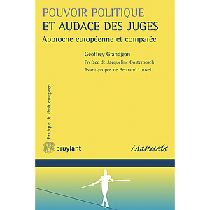 Pouvoir politique et audace des juges - Approche européenne et comparée 