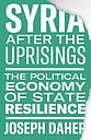  zoom Syria after the Uprisings - The Political Economy of State Resilience