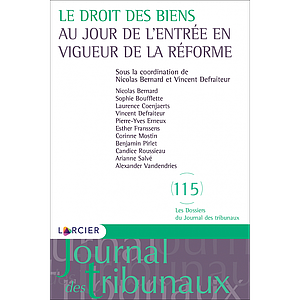 Le droit des biens au jour de l'entrée en vigueur de la réforme