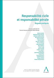 Responsabilité civile et responsabilité pénale : Regards pratiques
