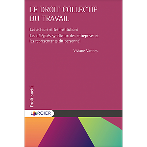 Le droit collectif du travail - Les acteurs et les institutions – Les délégués syndicaux des entreprises et les représentants du personnel  