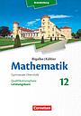 Mathematik - Brandenburg - Ausgabe 2019 - 12. Schuljahr