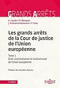 Les grands arrêts de la Cour de justice de l'Union européenne - Droit constitutionnel et institutionnel de l'Union européenne - 2ème Edition