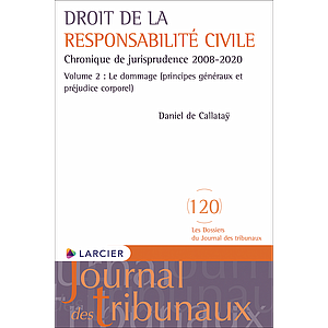 Droit de la responsabilité civile - Chronique de jurisprudence 2008-2020 – Volume 2 : Le dommage (principes généraux et préjudice corporel) 