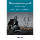 Délinquance environnementale - Aspects procéduraux applicables en Région wallonne 