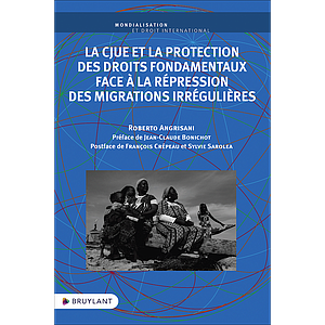 La CJUE et la protection des droits fondamentaux face à la répression des migrations irrégulières