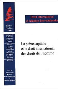 La peine capitale et le droit international des droits de l'homme